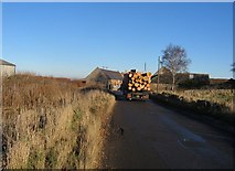 NT4560 : Timber lorry, Woodcote Mains. by Richard Webb