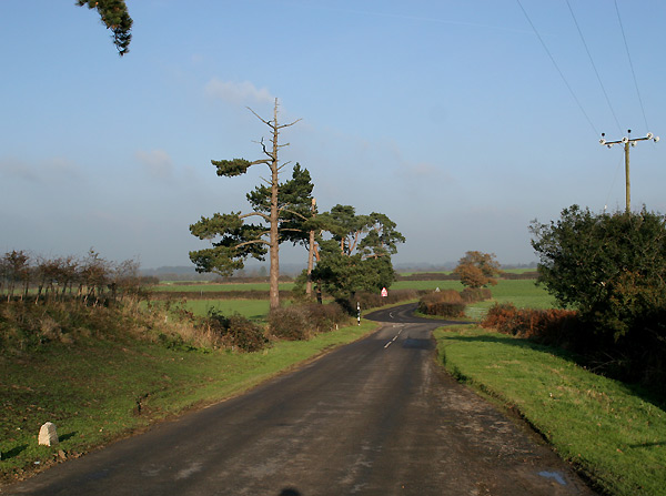 Itchingfield road