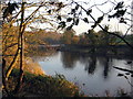 The Tyne at Howdene Bridge, west of Wylam