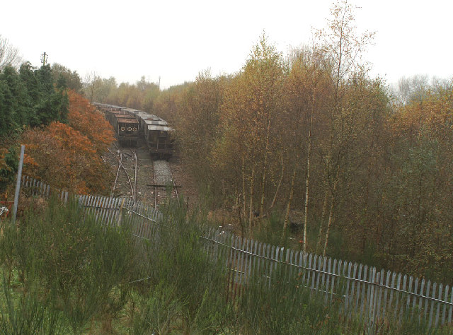The end of the line at Springs Branch