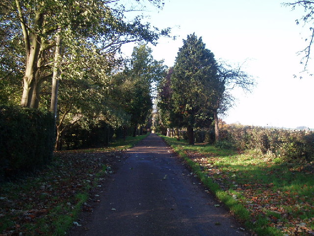 Driveway past Town Farm