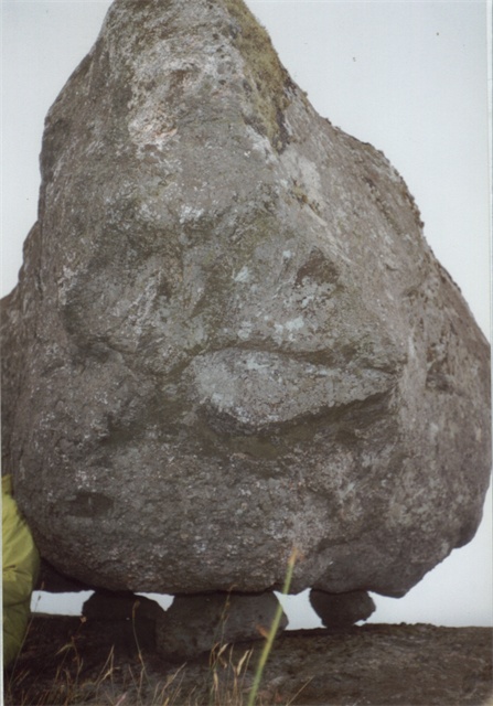 Glacial boulder on Ben Hogh