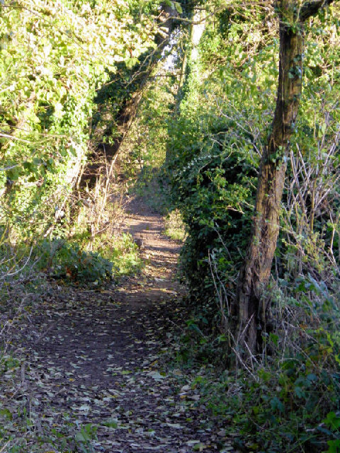 Footpath to Borrage Green Lane