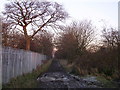 Lane alongside playing fields