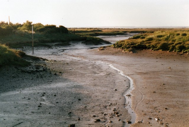 The extreme southern end of Mayland Creek at low tide