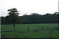 Looking towards Stansted Forest, from Forestside