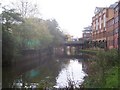 River Wey in Guildford