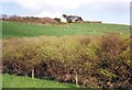 Hillside near Soar Mill Cove, Malborough