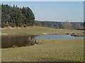 Padleywater near Chillesford