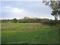 SP4196 : Farmland view towards Stoke Golding, Leics by Rodney Burton