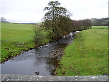 SD7152 : Croasdale Brook by Charles Rawding