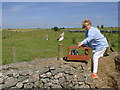 Releasing homing pigeons near Priddy