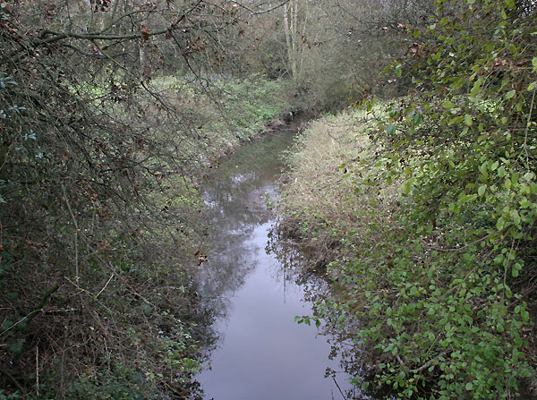 Stream near Goddards Green, West Sussex
