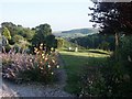 Country garden, Shaftesbury