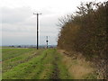 Longhedge Lane, Byway