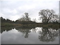 Catchment Pond at The Mead