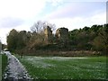 NT1795 : Lochore  Castle by Paul McIlroy