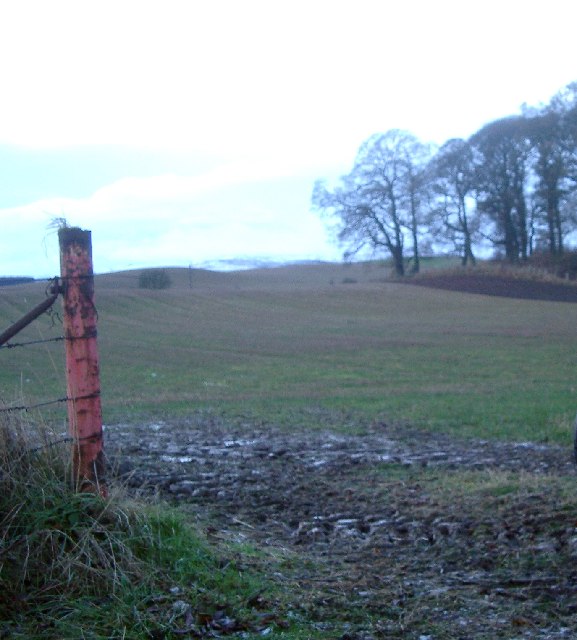 Field entrance, near Bankfoot