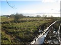 Muddy field, Woodend.