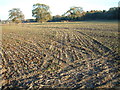 Farmland, North Bockhampton, Bransgore