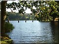TF0505 : Lake at Burghley House by Steve Edge