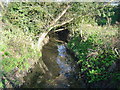 Yeading Brook, Eastcote