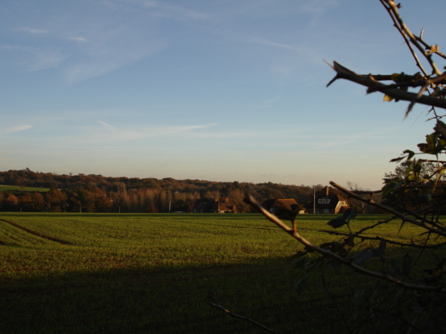 Farmland at Whydown East Sussex