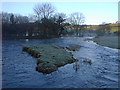 Early morning on the River Teifi