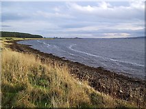 NH7187 : The Dornoch Firth From Newton point by Donald H Bain