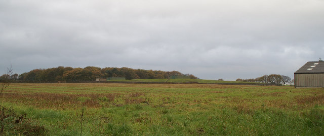 Reservoir in the fields
