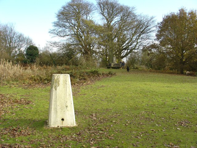 Triangulation Pillar, East Top of Park Hill, Reigate Priory Park, Surrey