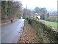 Looking down Jebb Lane