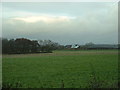 Farmland near Nateby