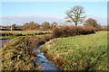 Halberton: stream by Catfords Farm