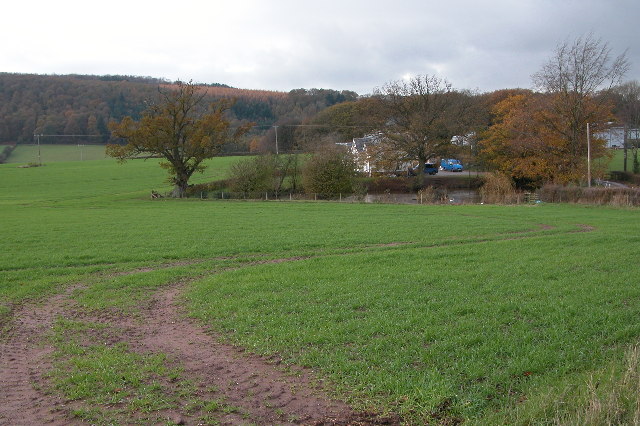 Laine's Farm