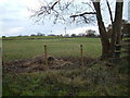 Farmland, Dorset