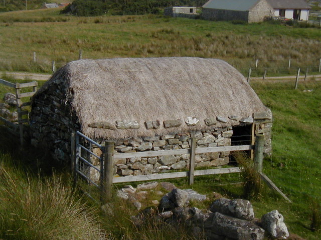 Shelter near Strathy