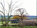 Stable at Ashover Hay