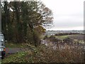 View from Pickmere Rough looking south