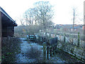 Sheep pens, derelict urban farm, Heywood