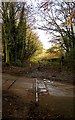 Rails of abandoned colliery railway embedded in road in Shipley Country Park