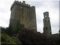 W6075 : Blarney Castle, Co. Cork by Ron Goodhew
