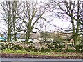 Houses at Hargate