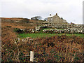 Cottages and old field hedges, near Carn Kenidjack