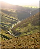 SD6598 : Long Rigg Beck by Toby Speight