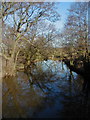 River Churnet at Rocester