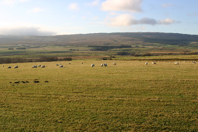 Farmland near Kirkconnel