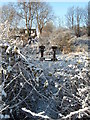 Bolt sculpture in The Valley, Atherton