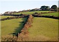 Hillside east of Newmills Farm