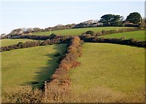 SW8145 : Hillside east of Newmills Farm by Tony Atkin